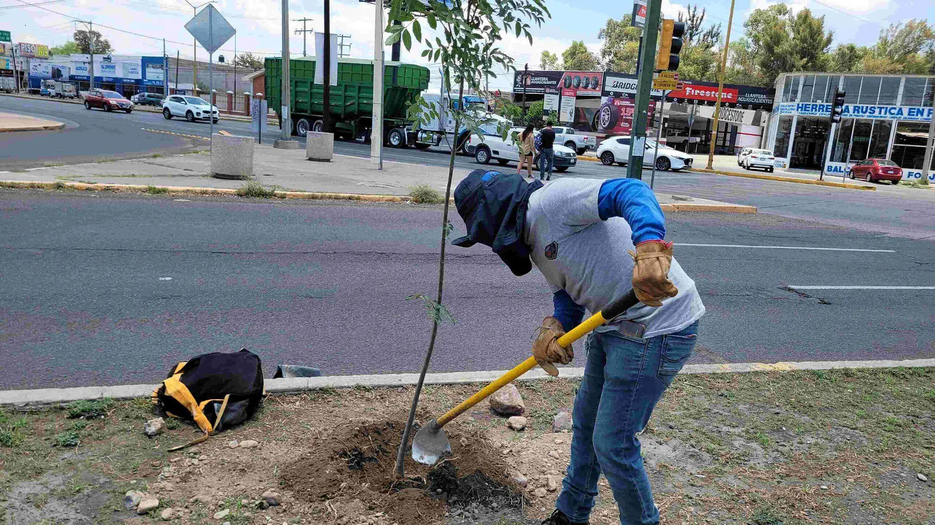 MPIO REFORESTA B